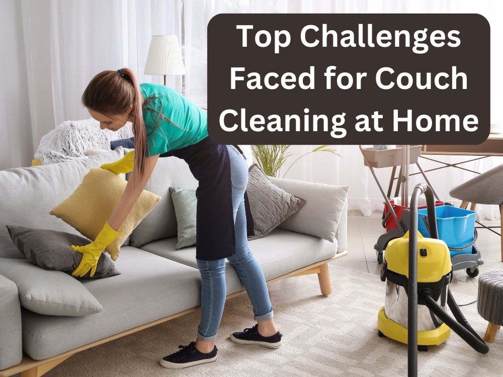 couch cleaning hobart